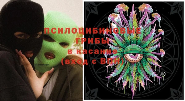 амфетамин Каменка