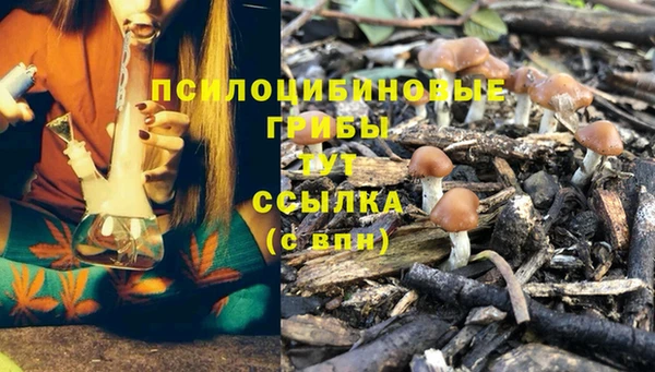 меф Каменногорск