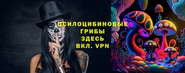 амфетамин Каменка